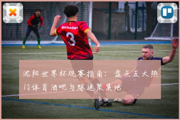 沈阳世界杯观赛指南：盘点五大热门体育酒吧与球迷聚集地