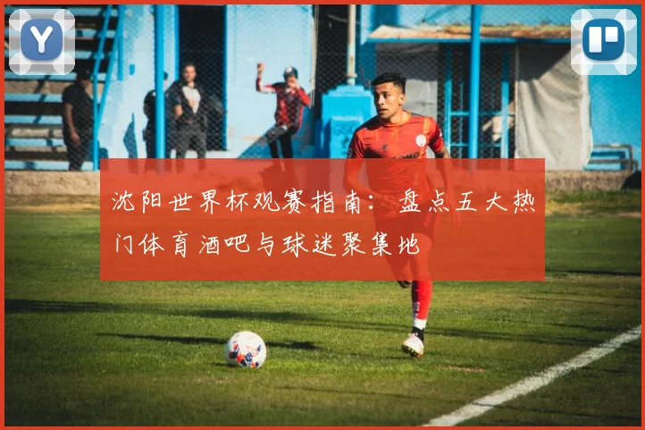 沈阳世界杯观赛指南：盘点五大热门体育酒吧与球迷聚集地