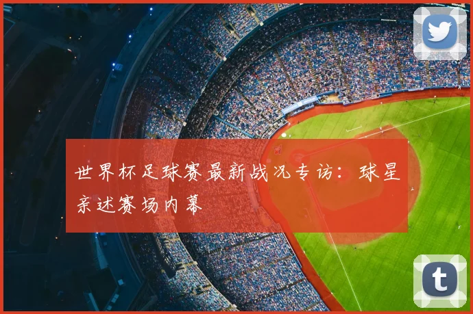 世界杯足球赛最新战况专访：球星亲述赛场内幕