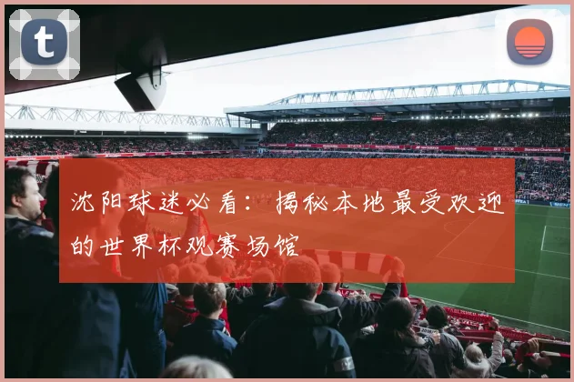 沈阳球迷必看：揭秘本地最受欢迎的世界杯观赛场馆