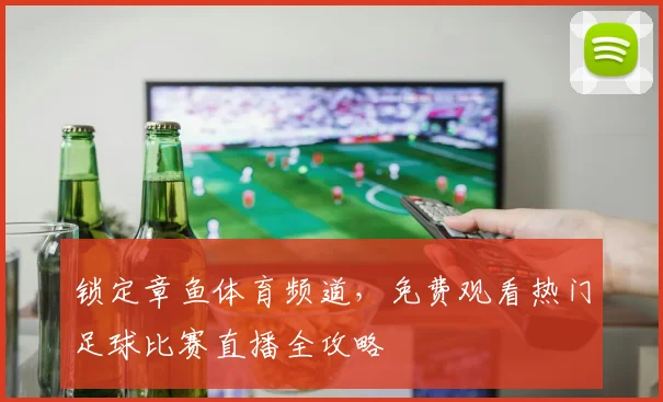 锁定章鱼体育频道,免费观看热门足球比赛直播全攻略