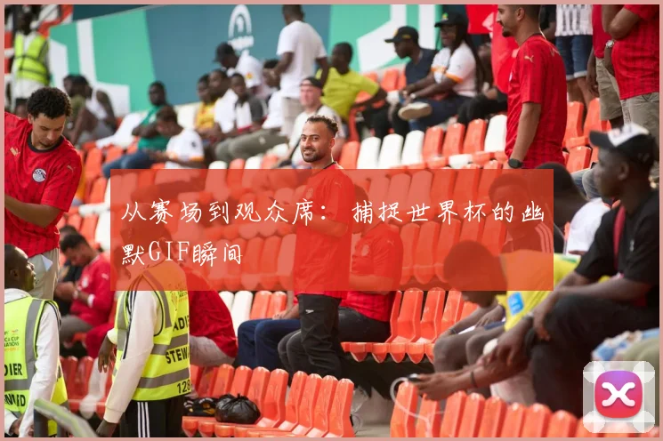 从赛场到观众席：捕捉世界杯的幽默GIF瞬间