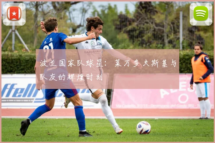 波兰国家队球星：莱万多夫斯基与队友的辉煌时刻