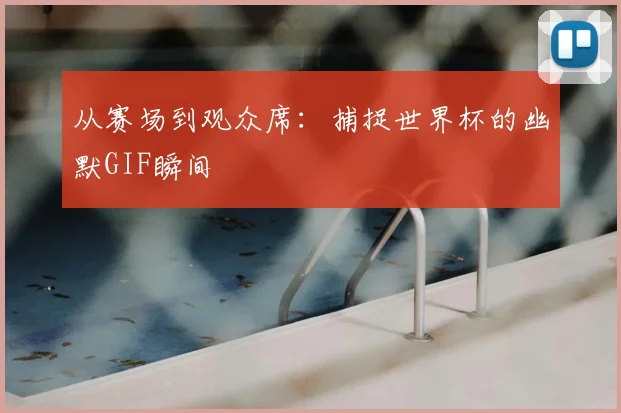 从赛场到观众席:捕捉世界杯的幽默GIF瞬间