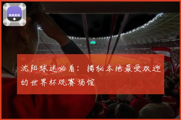 沈阳球迷必看：揭秘本地最受欢迎的世界杯观赛场馆